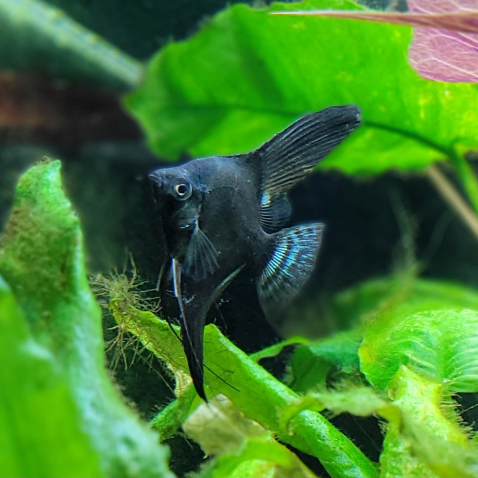 Bild #2 von daniela.welslau